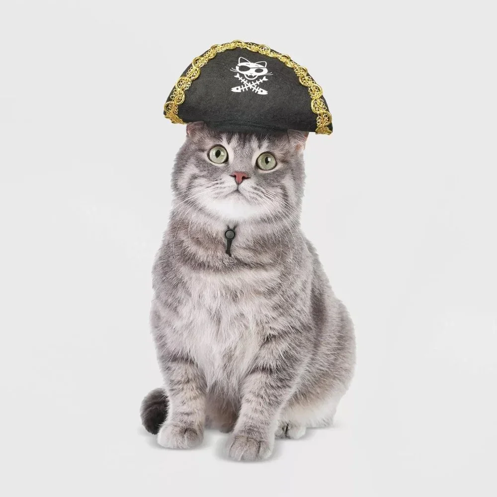 Pet Cat Hyde & Eek PIRATE Buccaneer Hat Halloween Costume One Size Headpiece NWT